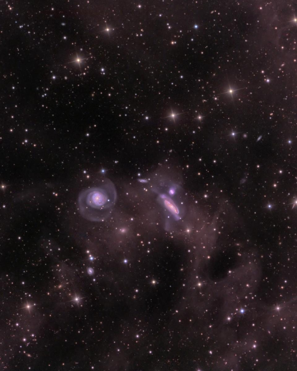Dust and the NGC 7771 Group