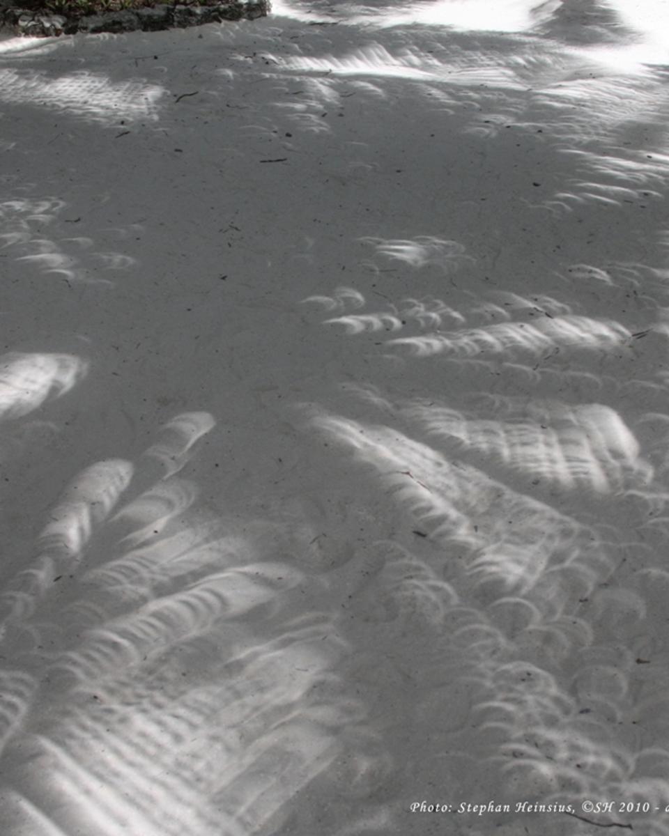 Eclipses in the Shade