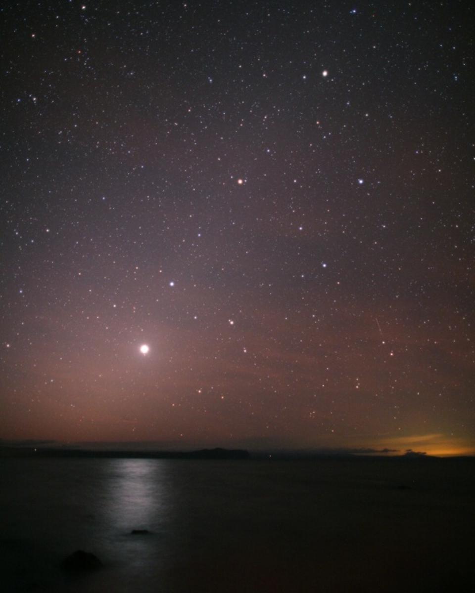 Ecliptic New Zealand