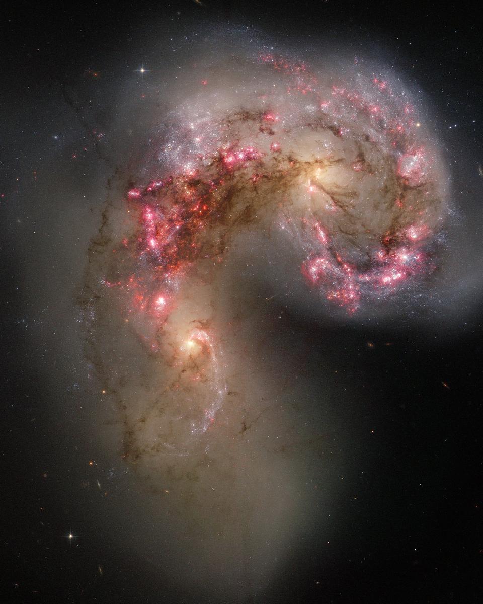 The Antennae Galaxies in Collision
