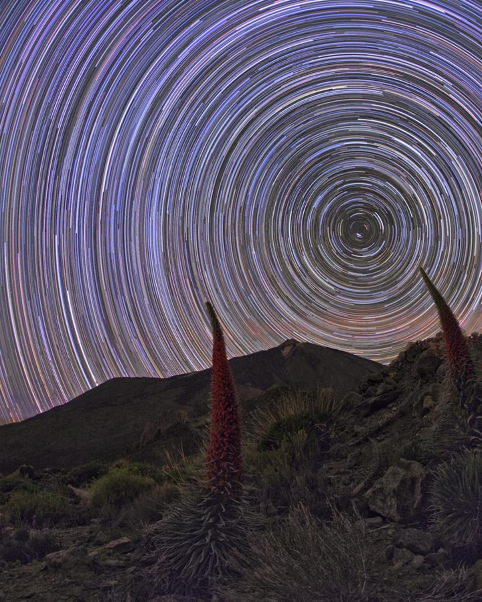 Star Trails and Tajinastes