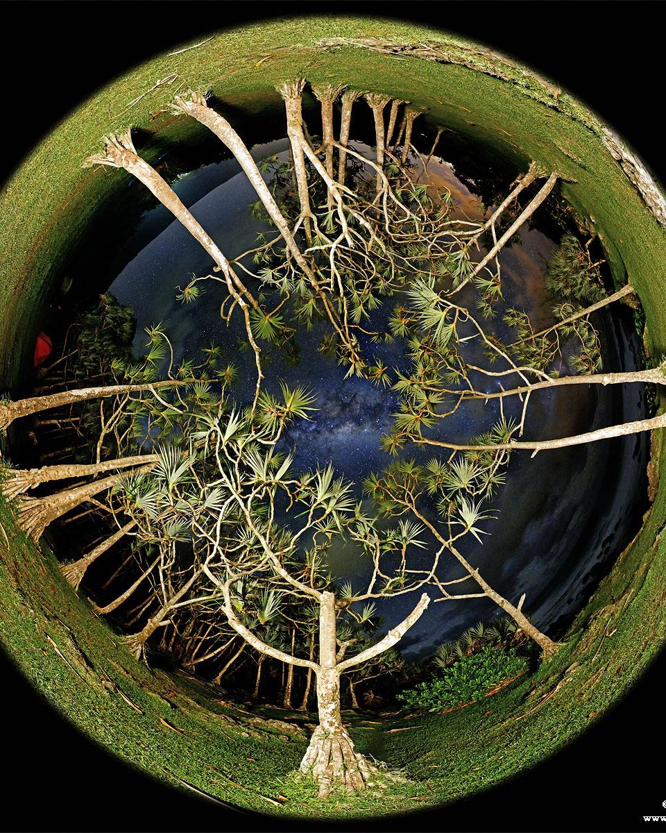 Trees, Sky, Galactic Eye