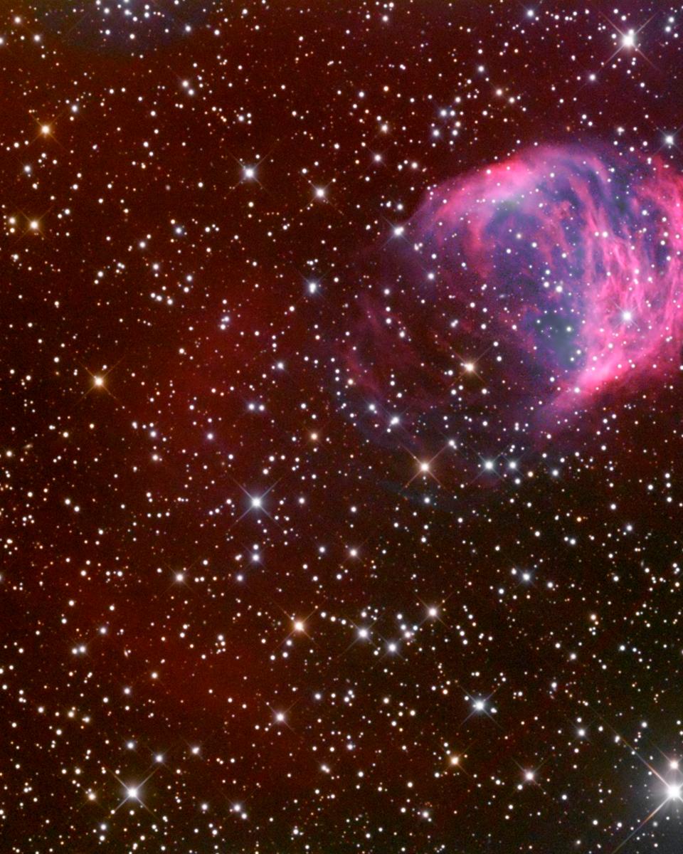The Medusa Nebula