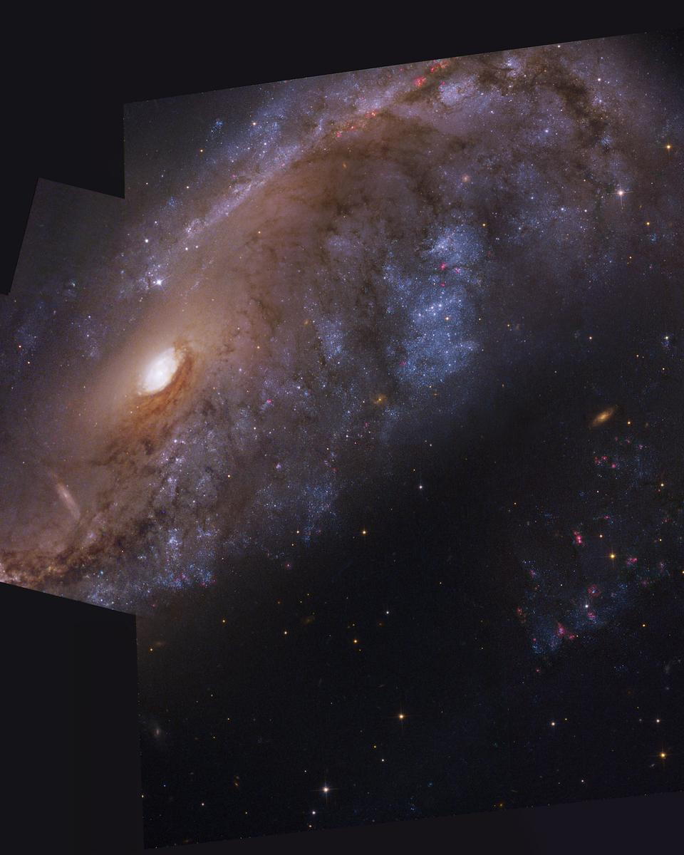 NGC 2442: Galaxy in Volans