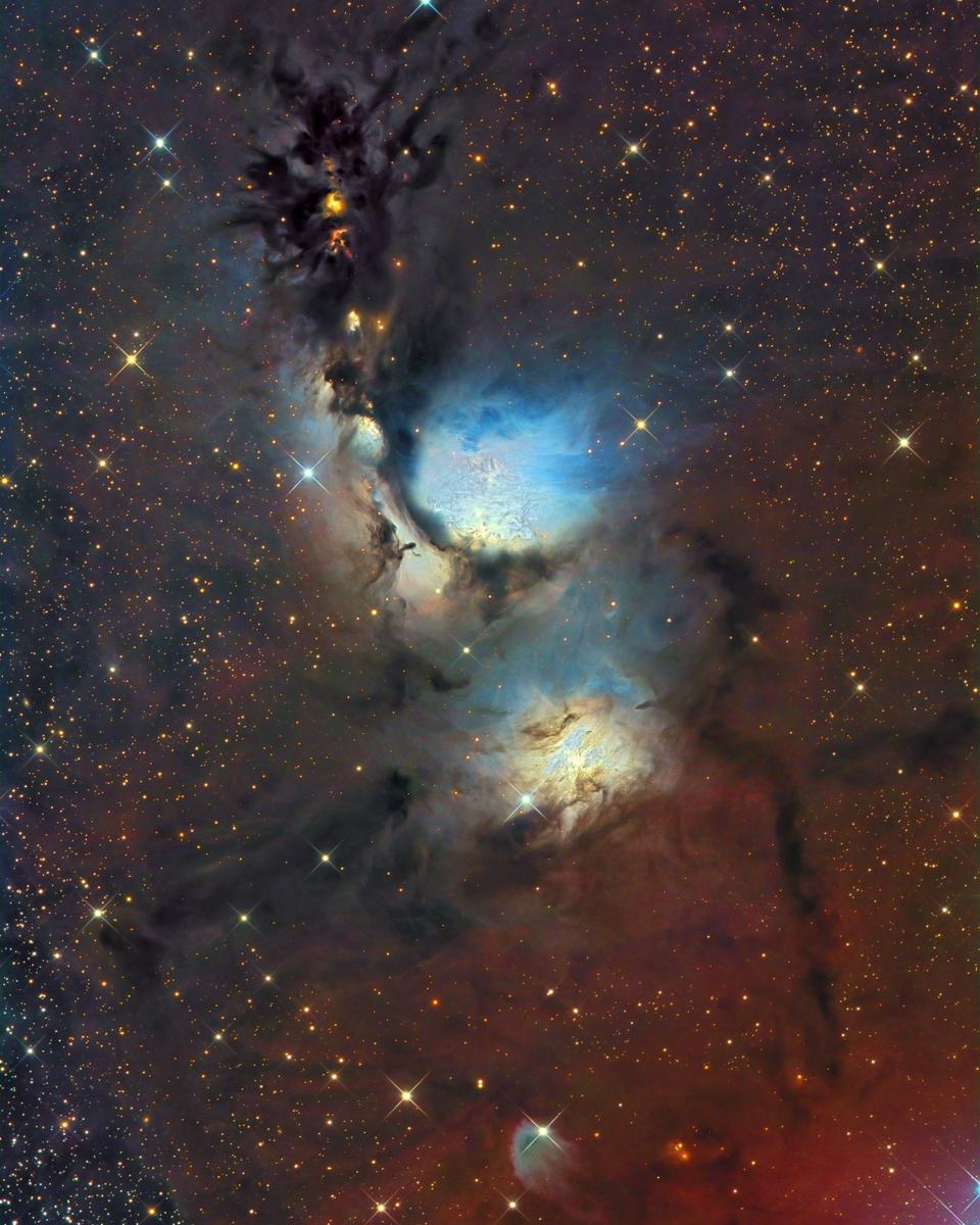 M78 and Reflecting Dust Clouds in Orion