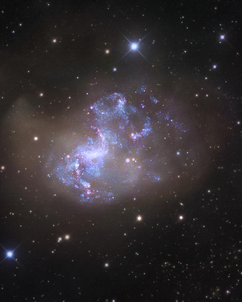 Unusual Starburst Galaxy NGC 1313