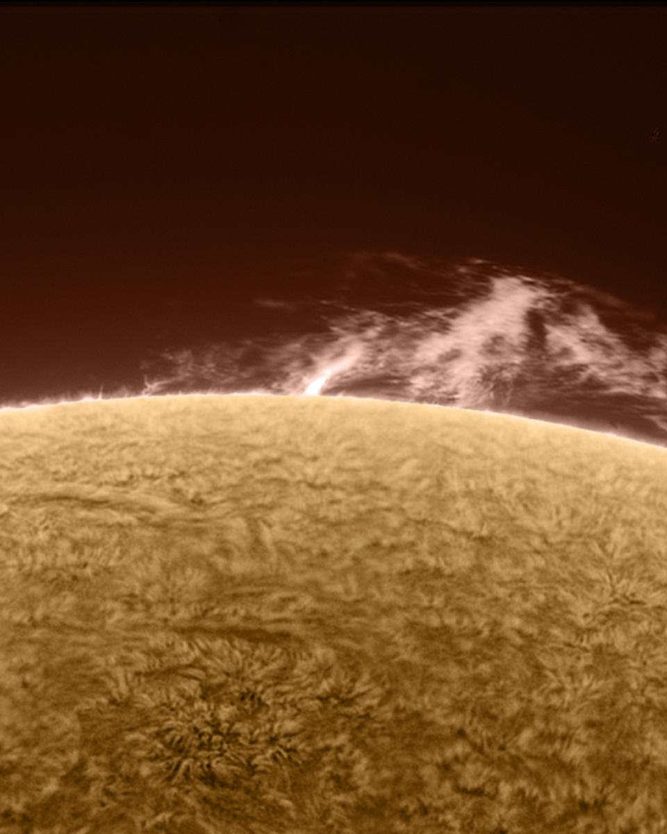 Reinvigorated Sun and Prominence