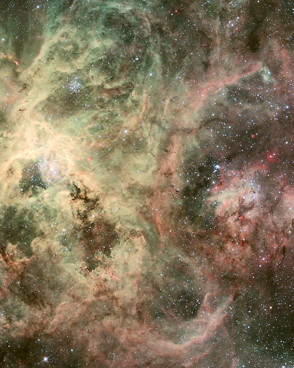 Tentacles of the Tarantula Nebula