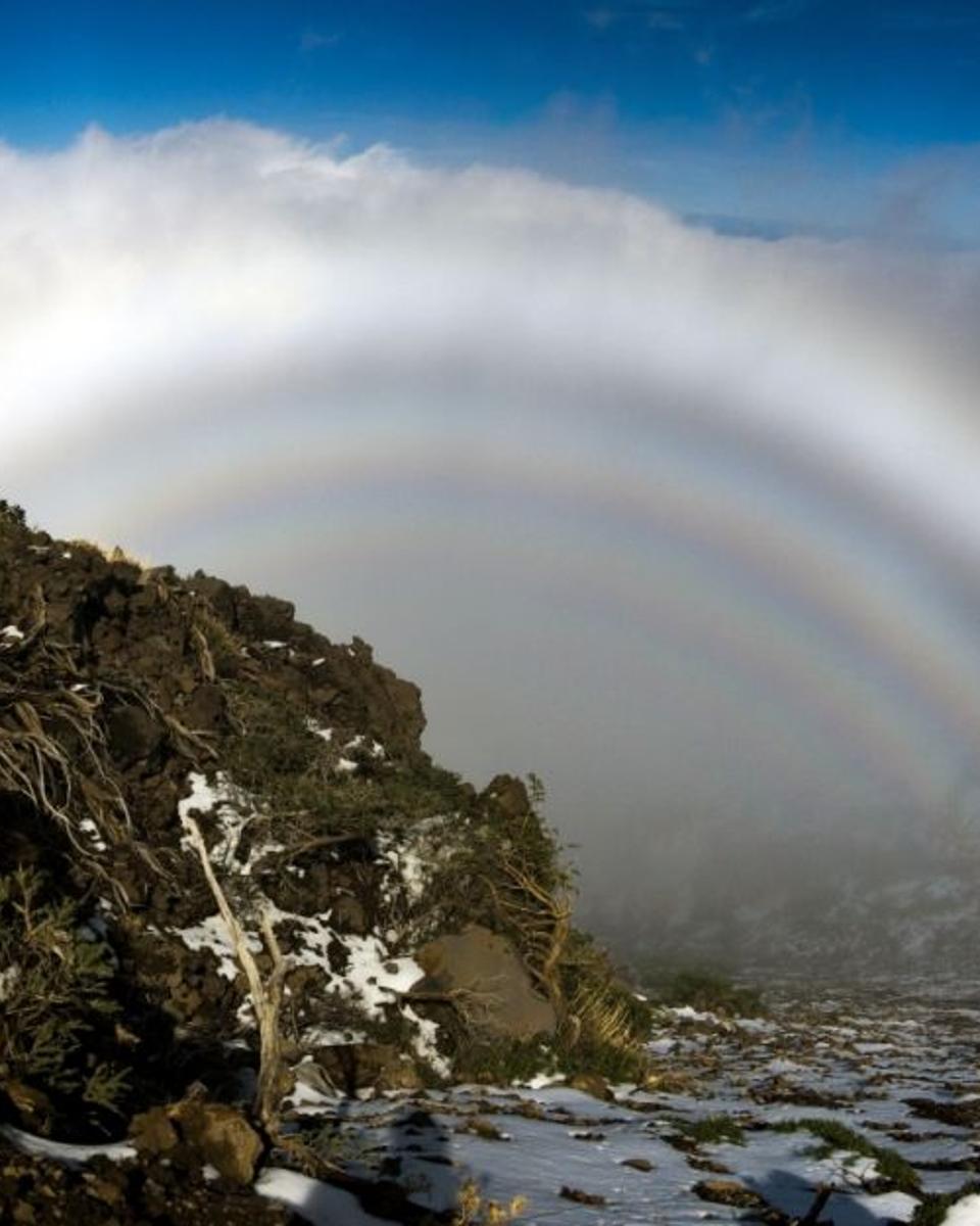 A Hall of Mountain Fogbows