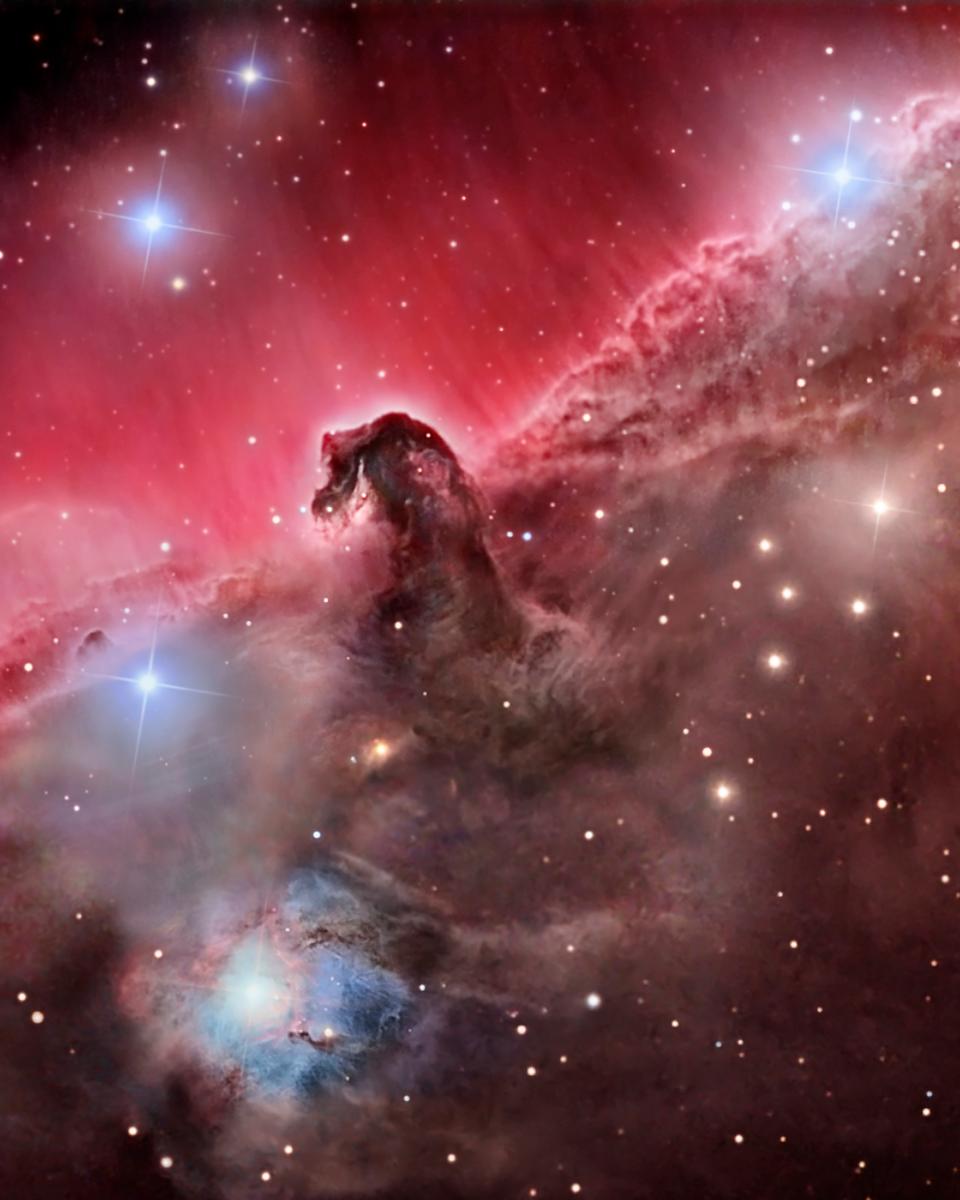 The Magnificent Horsehead Nebula