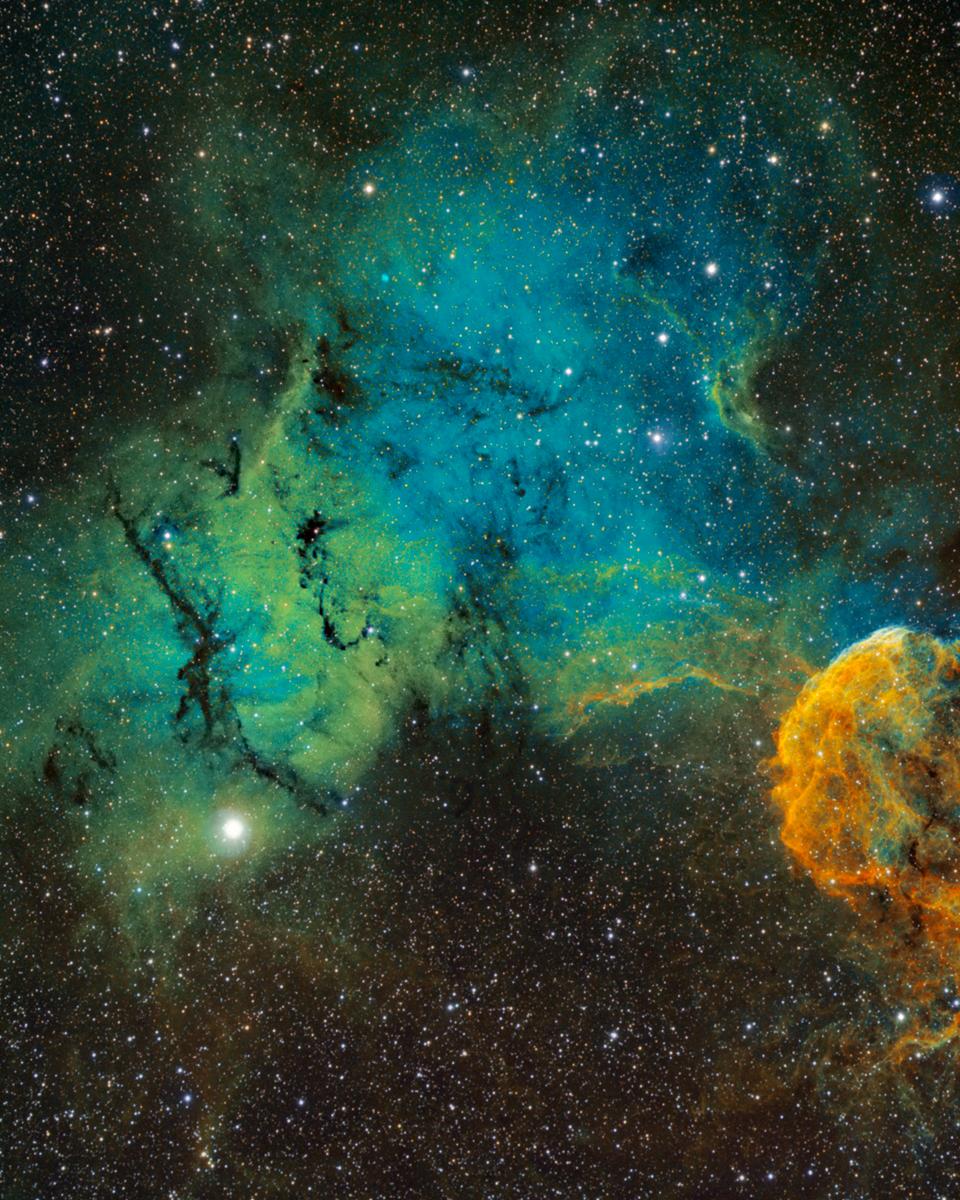 The Elusive Jellyfish Nebula