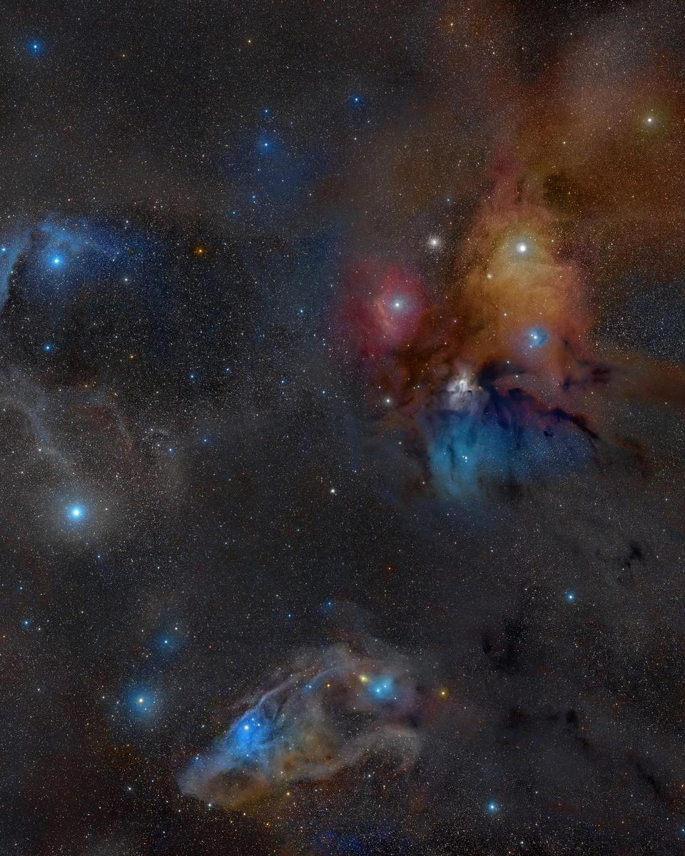 Rho Ophiuchi Wide Field