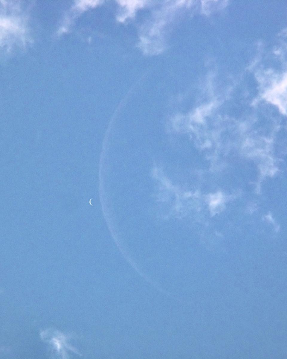 Crescent Venus and Moon