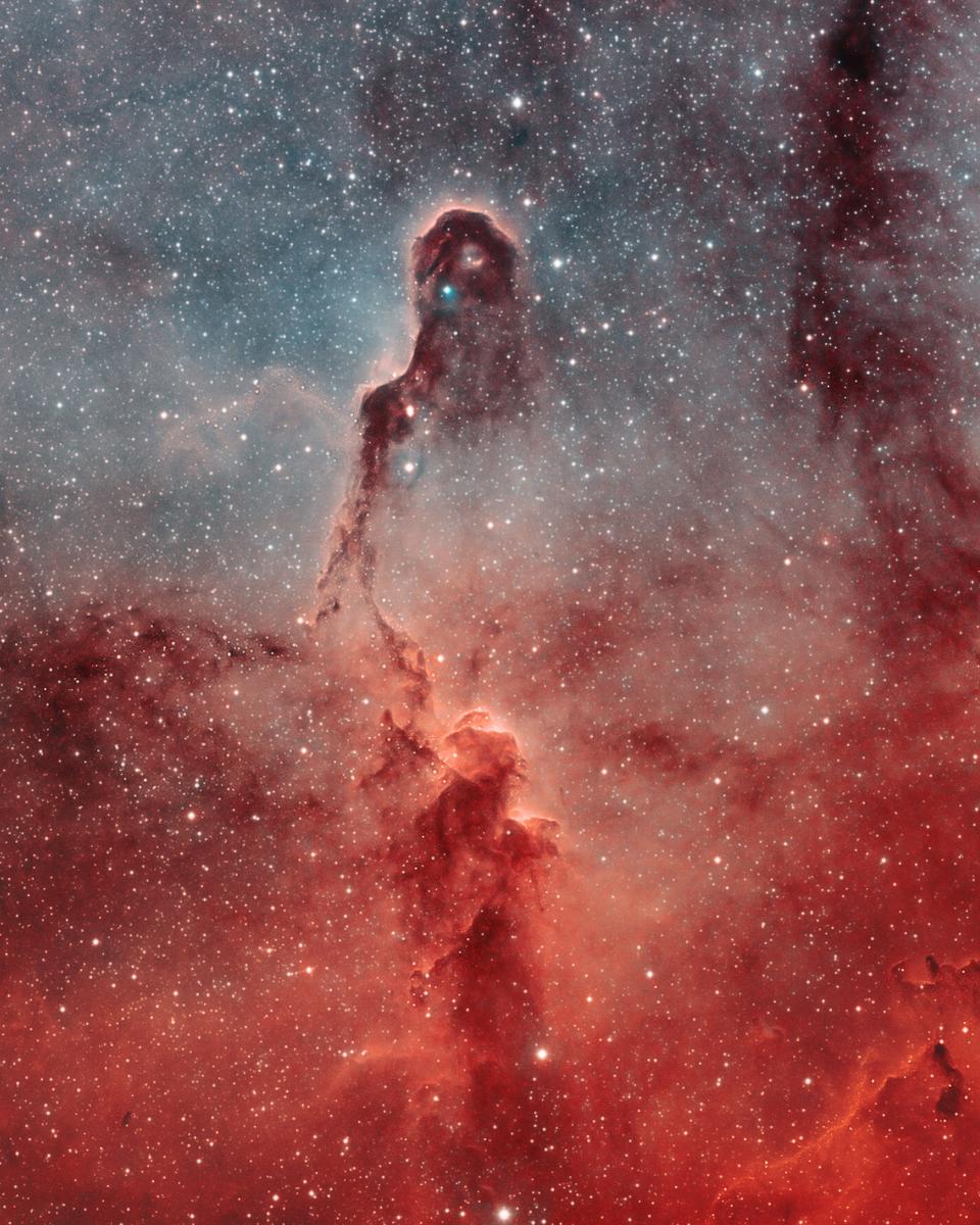 The Elephant's Trunk in IC 1396