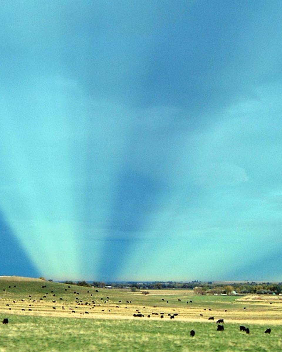 Anticrepuscular Rays Over Colorado