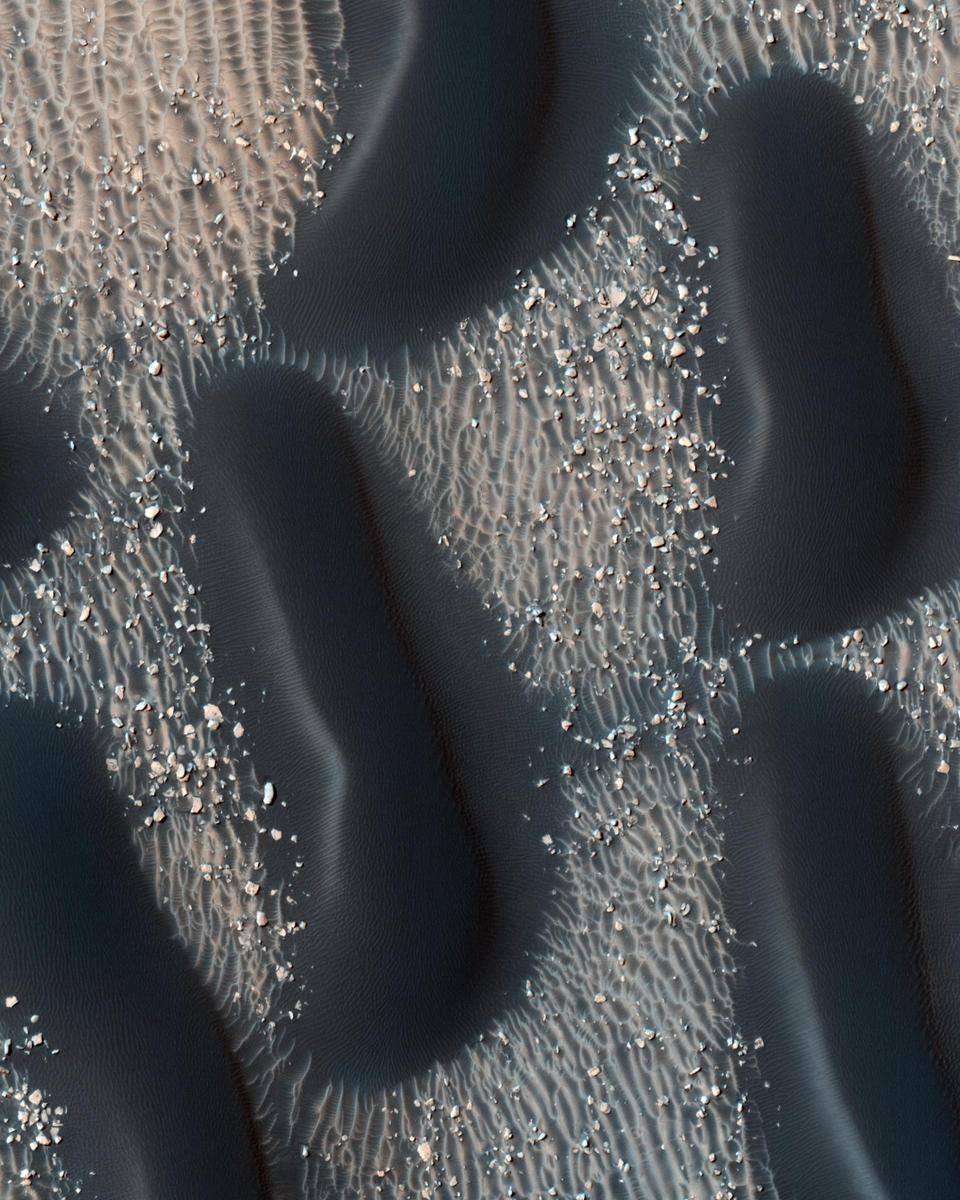 A Dark Dune Field in Proctor Crater on Mars