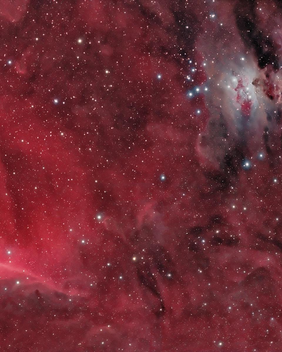 Horsehead and Orion Nebulas