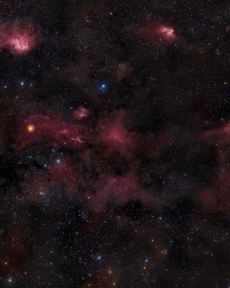 Cepheus: Trunk to Bubble