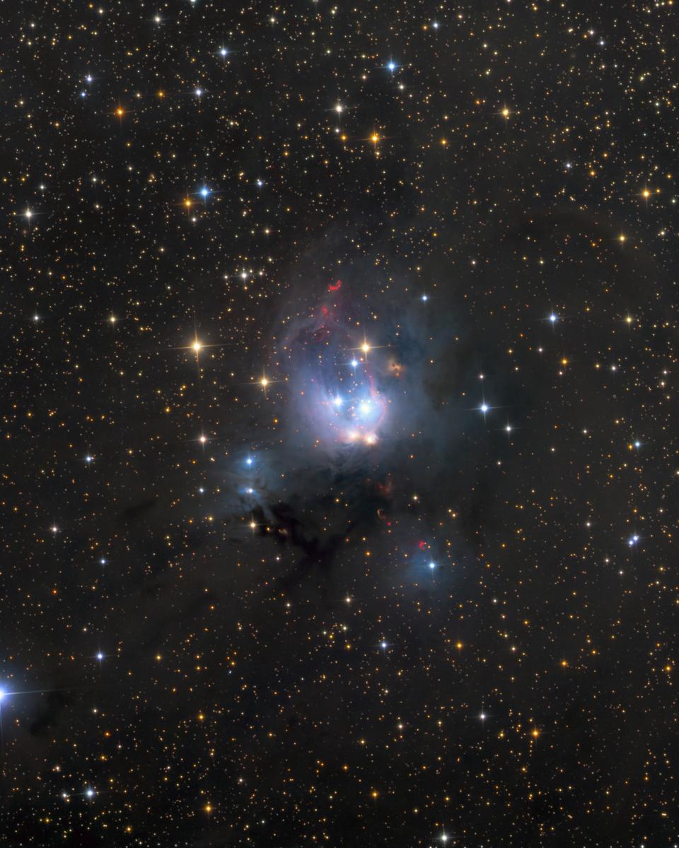 Young Suns of NGC 7129