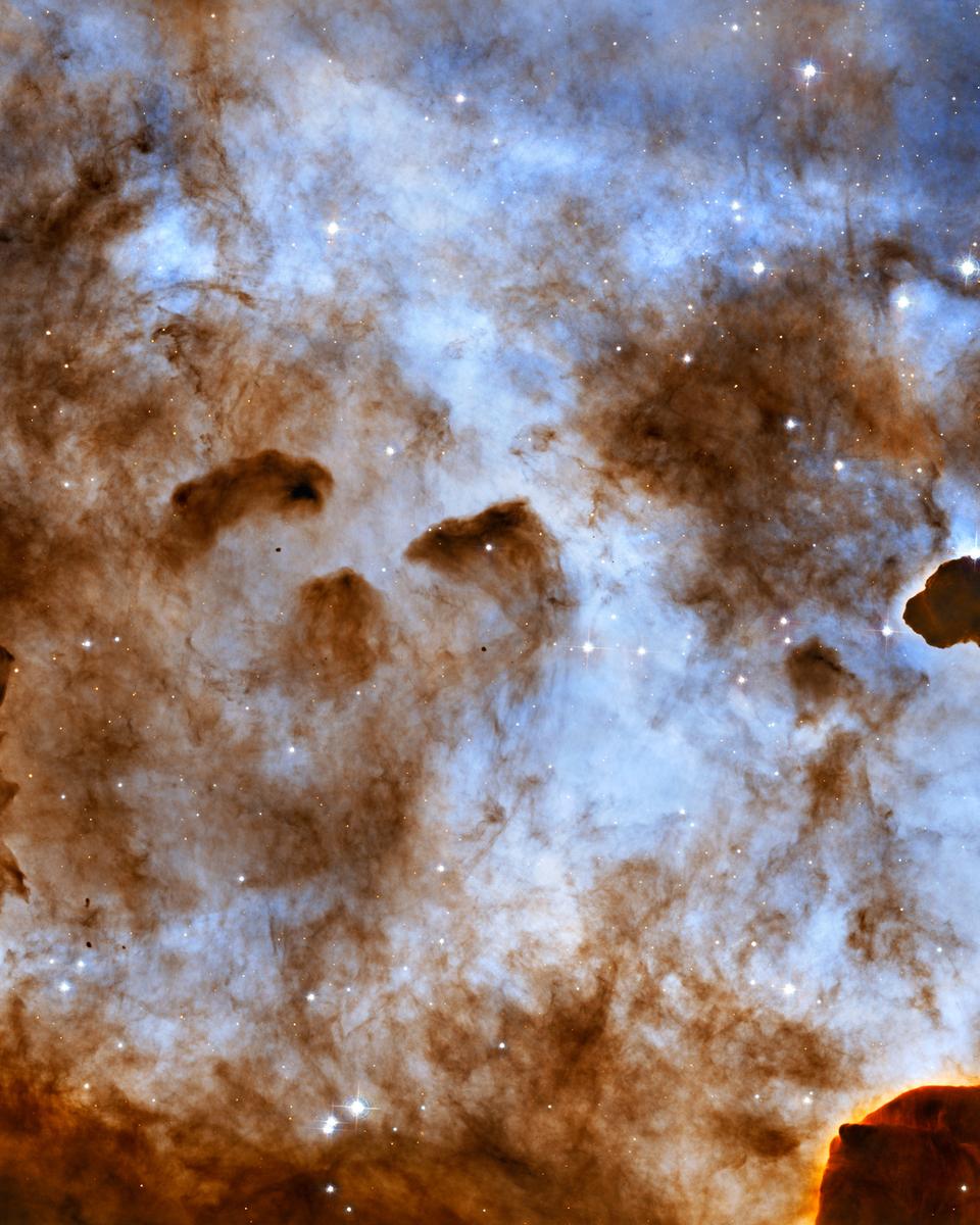 Dark Clouds of the Carina Nebula