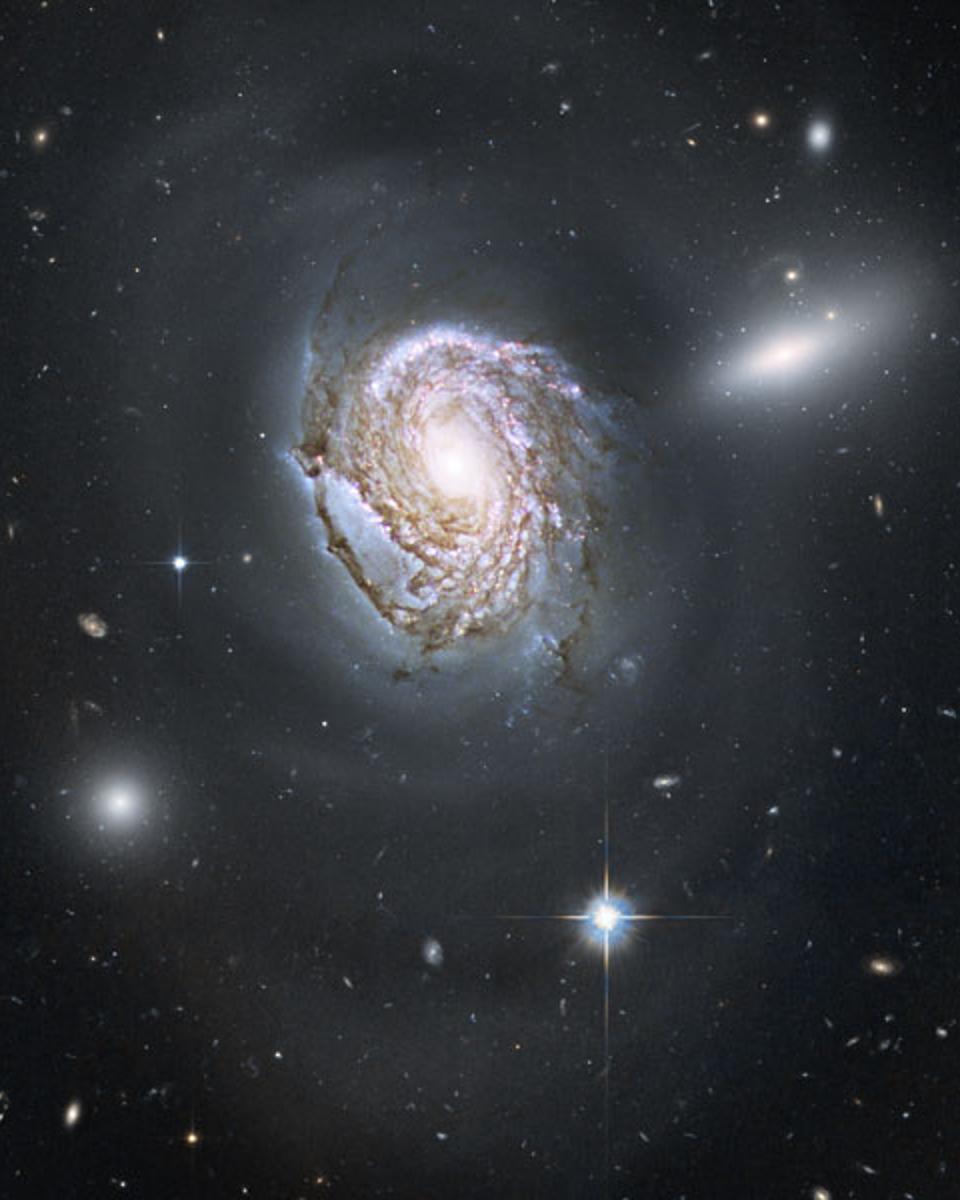 NGC 4911: Spiral Diving into a Dense Cluster