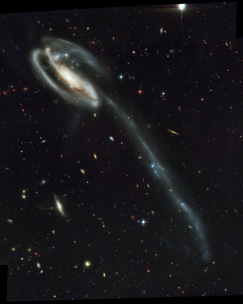 Arp 188 and the Tadpole's Tidal Tail