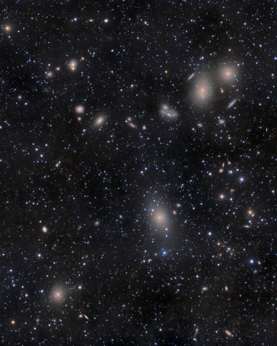 Virgo Cluster Galaxies