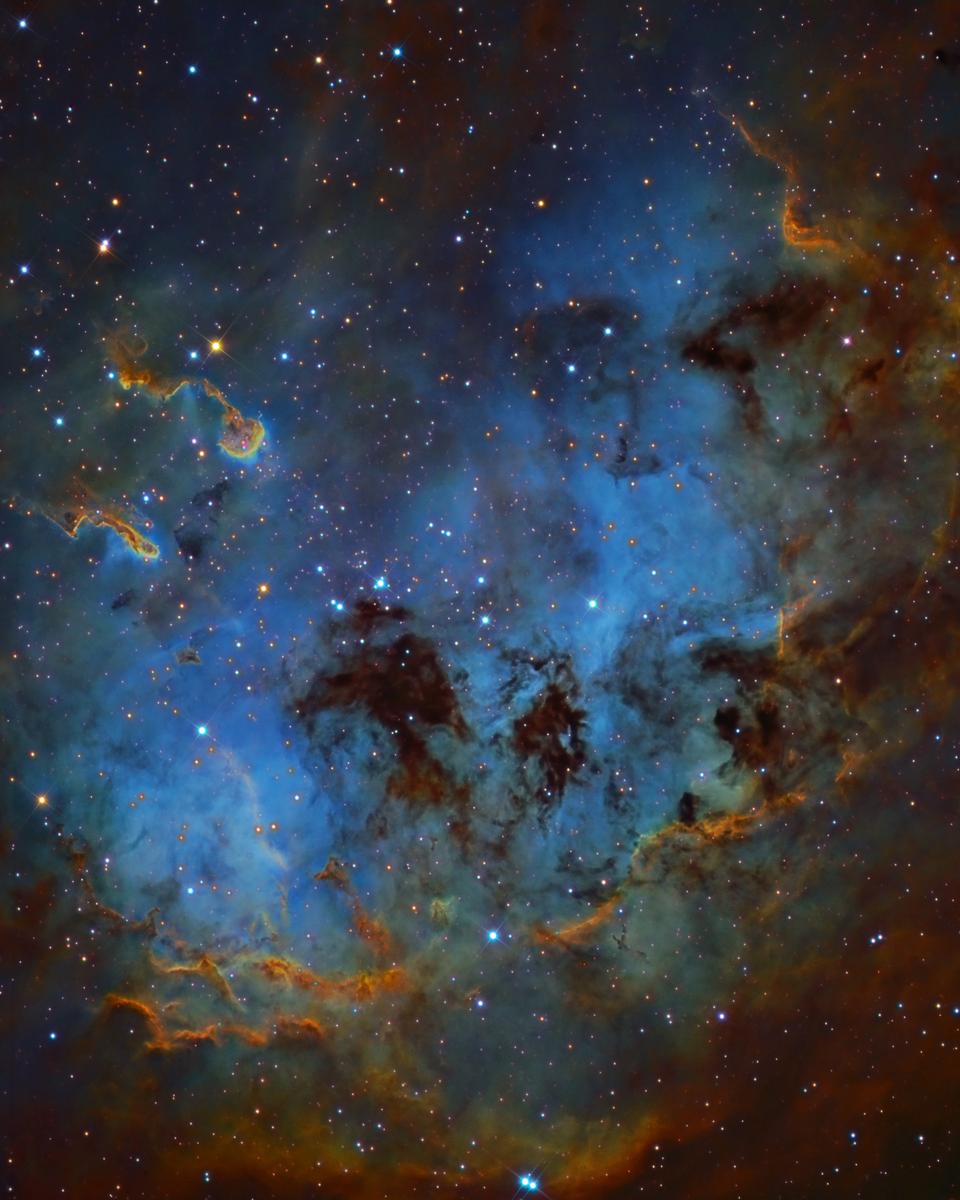 The Tadpoles of IC 410