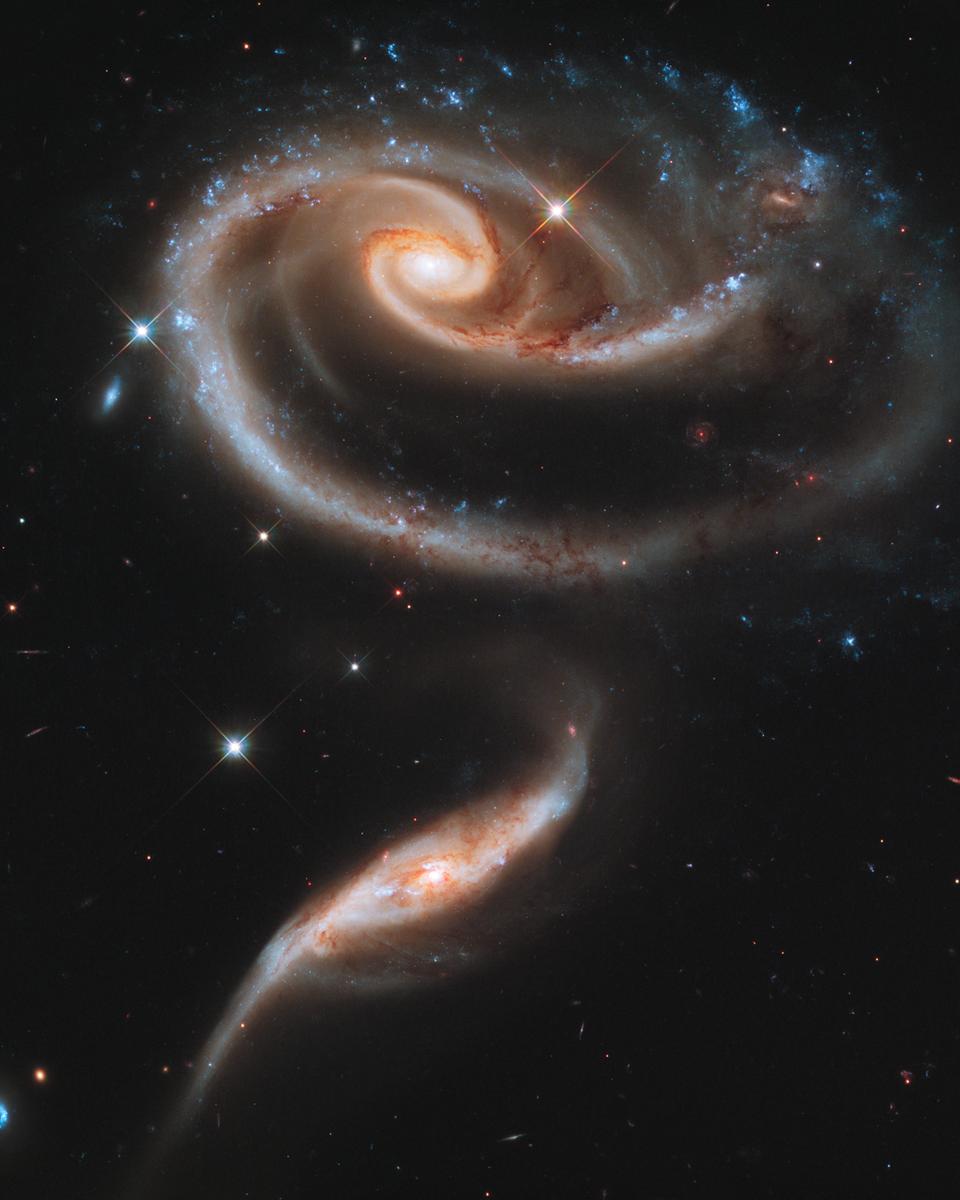 Peculiar Galaxies of Arp 273