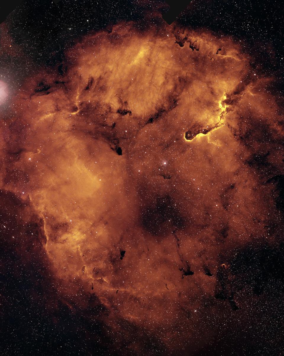 Monsters of IC 1396
