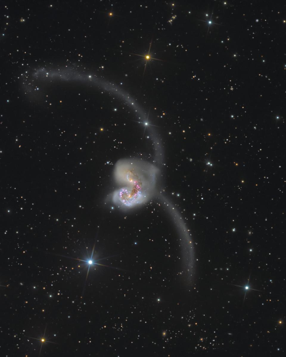 The Antennae