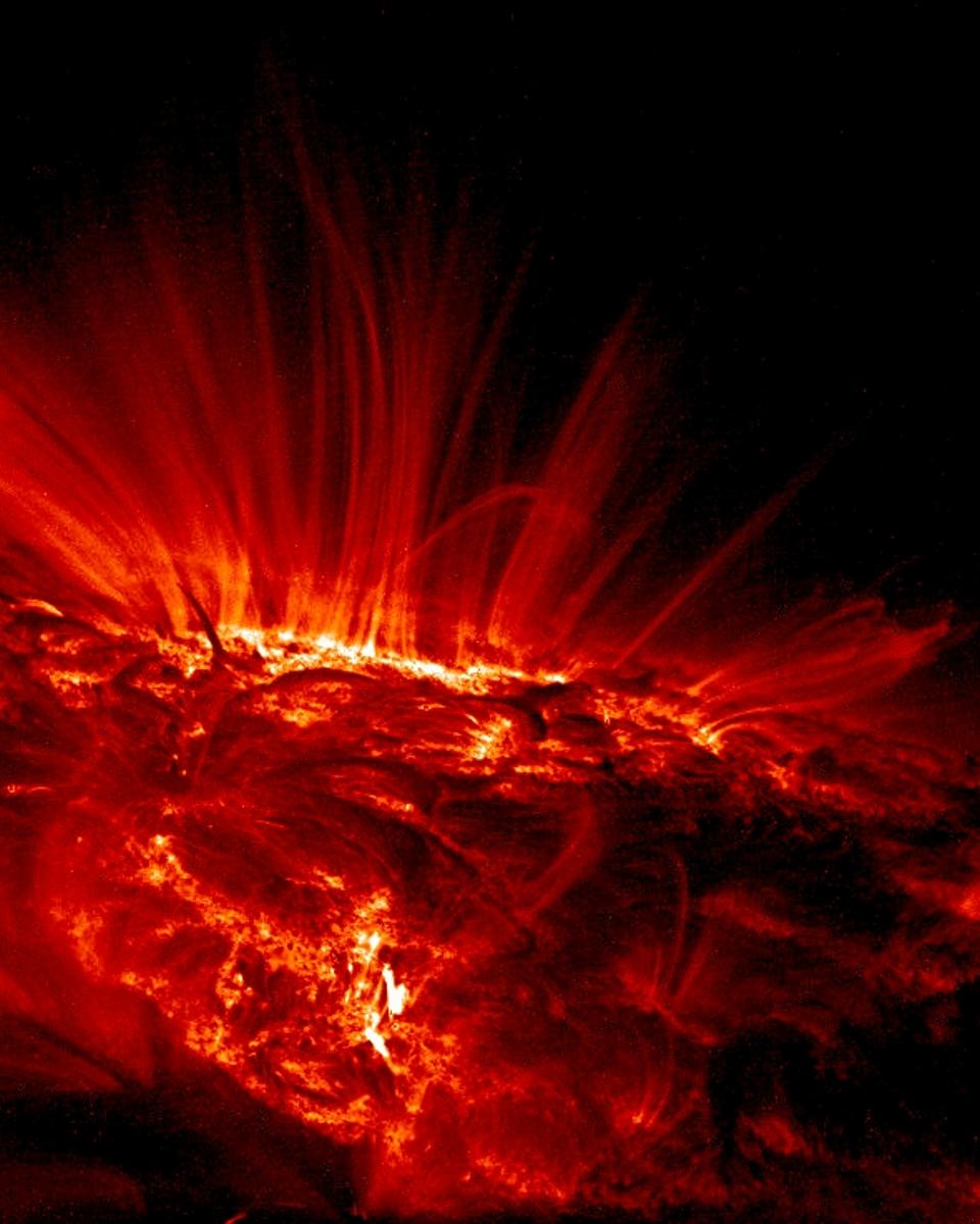 Sunspot Loops in Ultraviolet