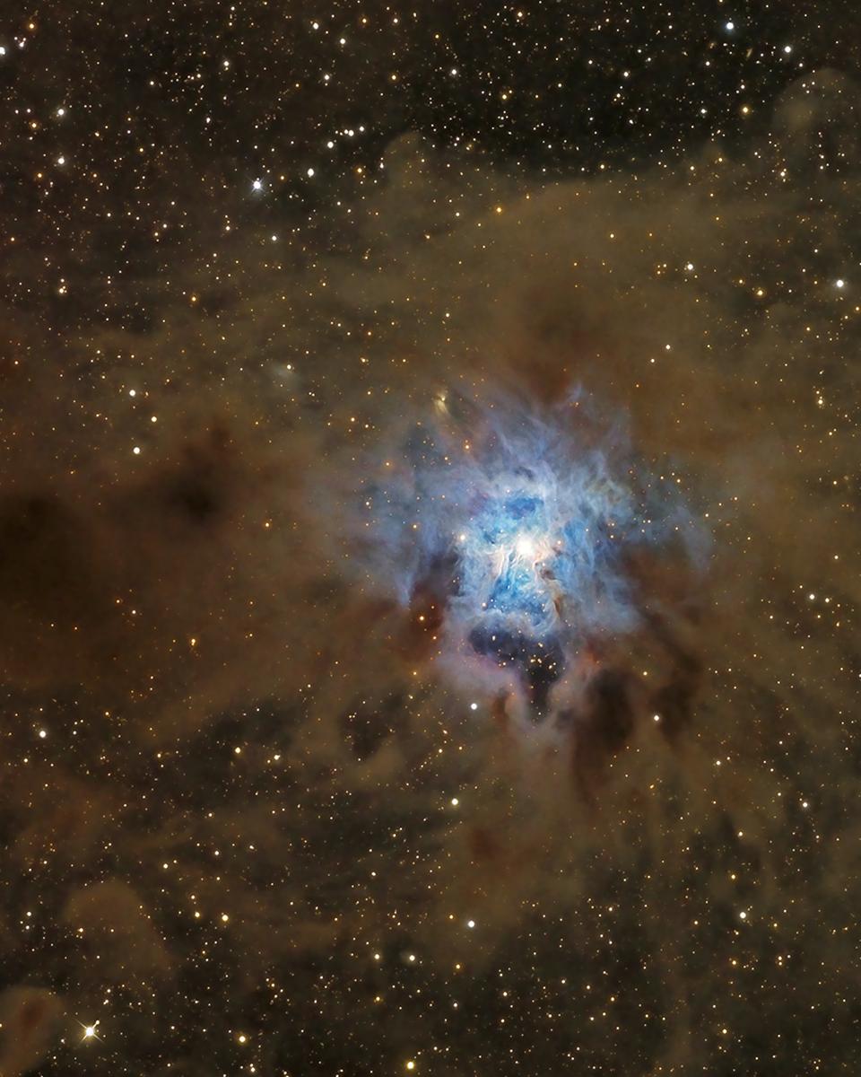 A Dusty Iris Nebula