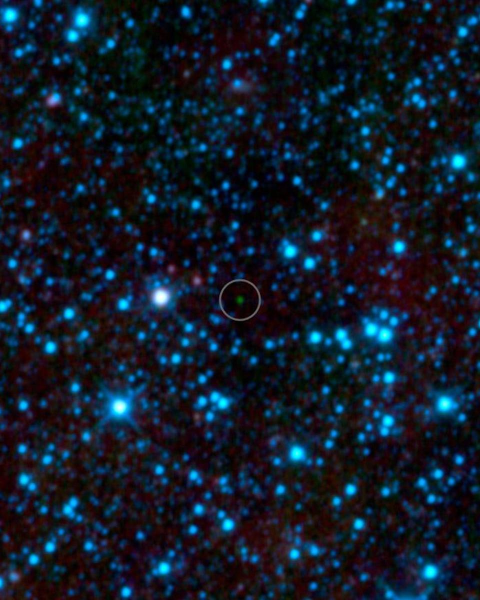 The Coldest Brown Dwarf