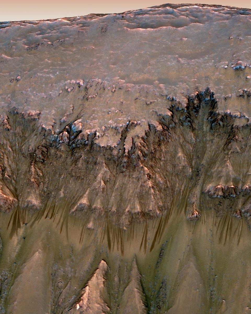 Seasonal Dark Streaks on Mars