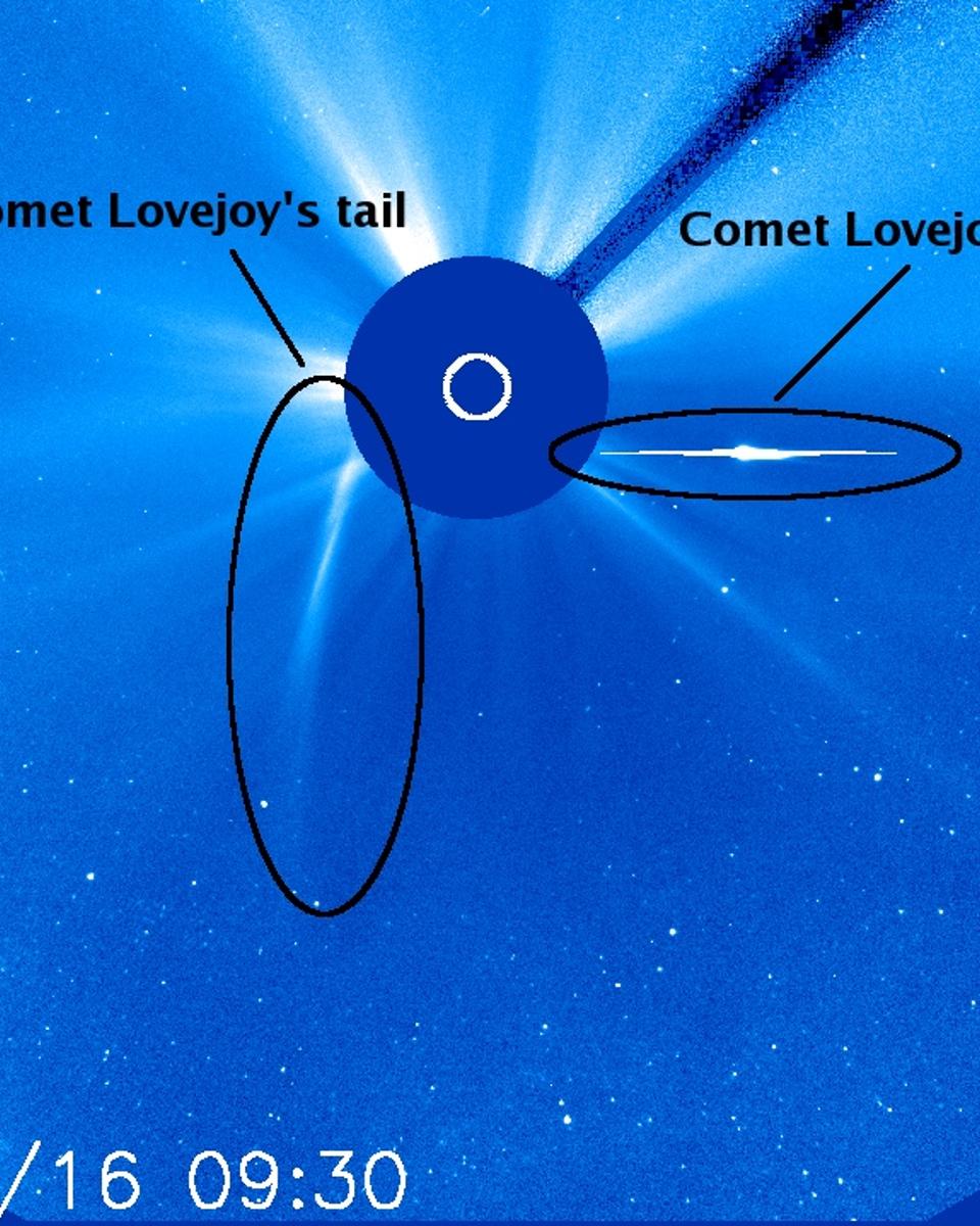 Comet Lovejoy: Sungrazing Survivor