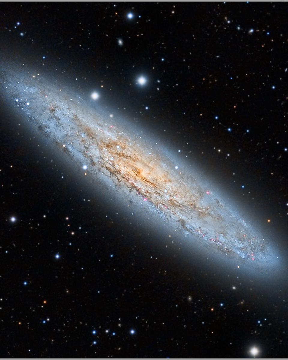 NGC 253: The Sculptor Galaxy