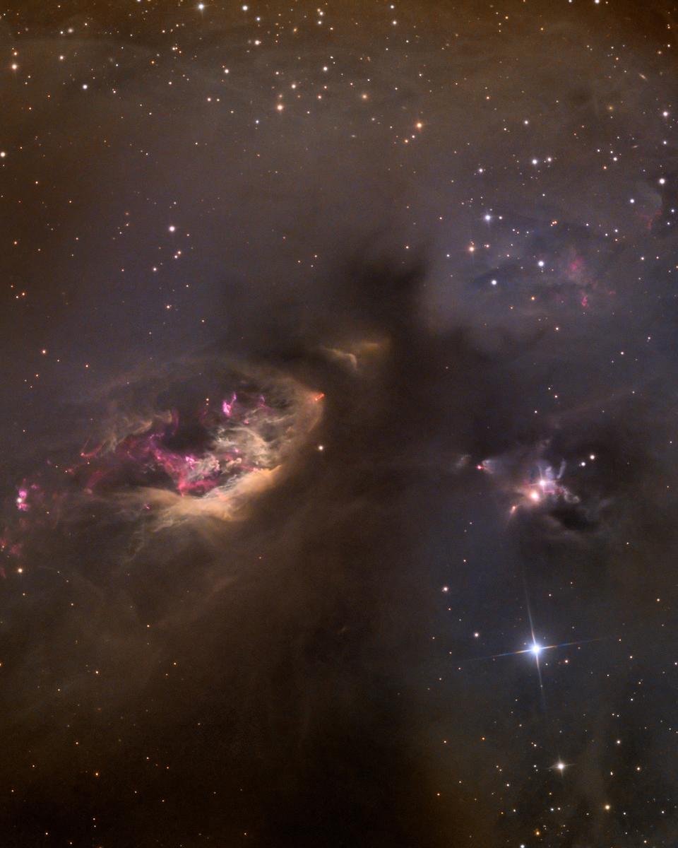 Sh2-239: Celestial Impasto