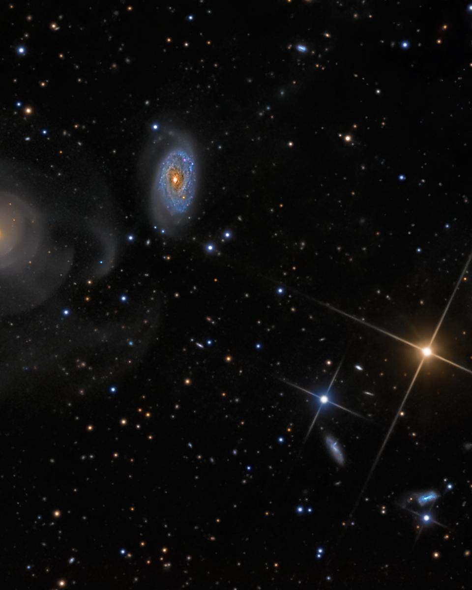Shell Galaxies in Pisces