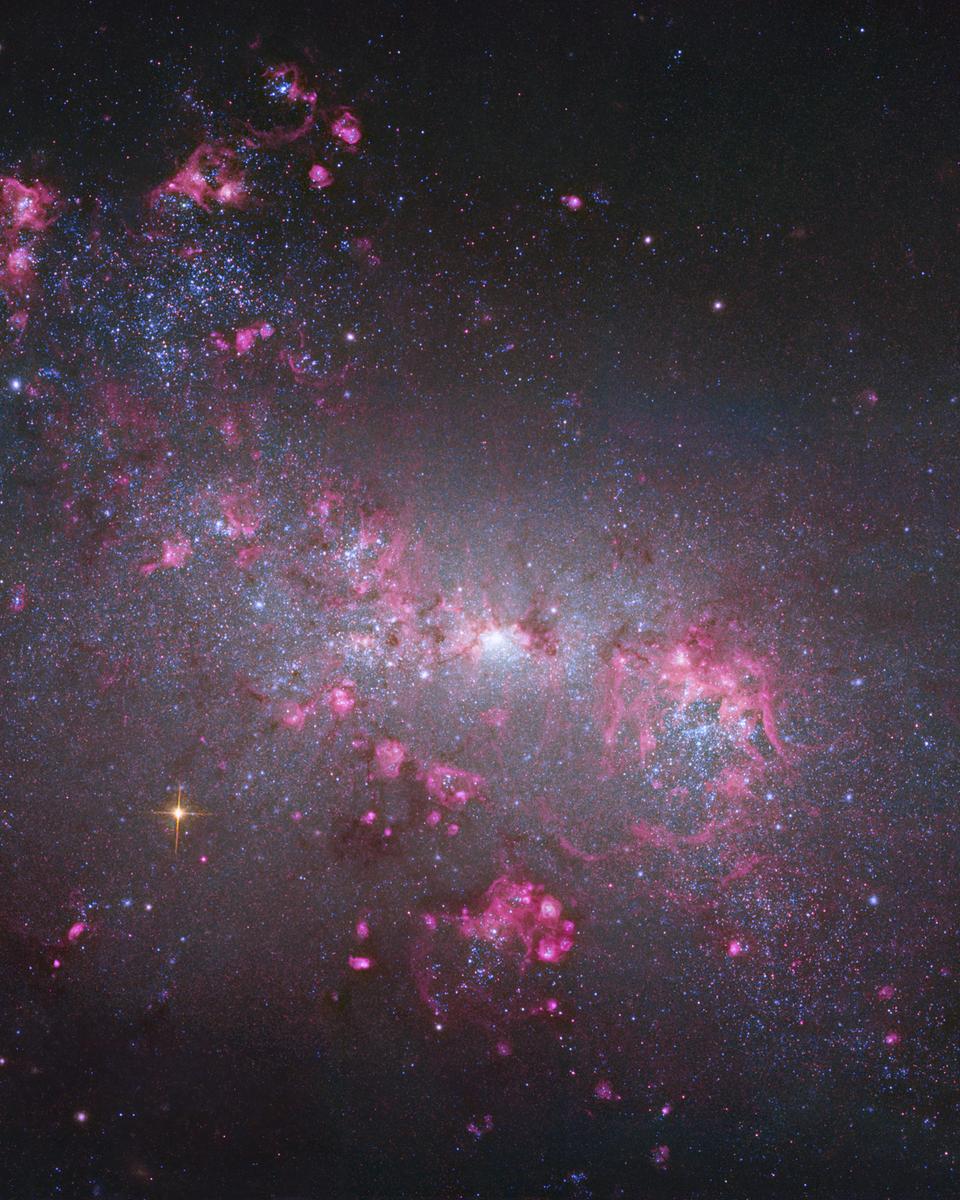 NGC 4449: Close-up of a Small Galaxy