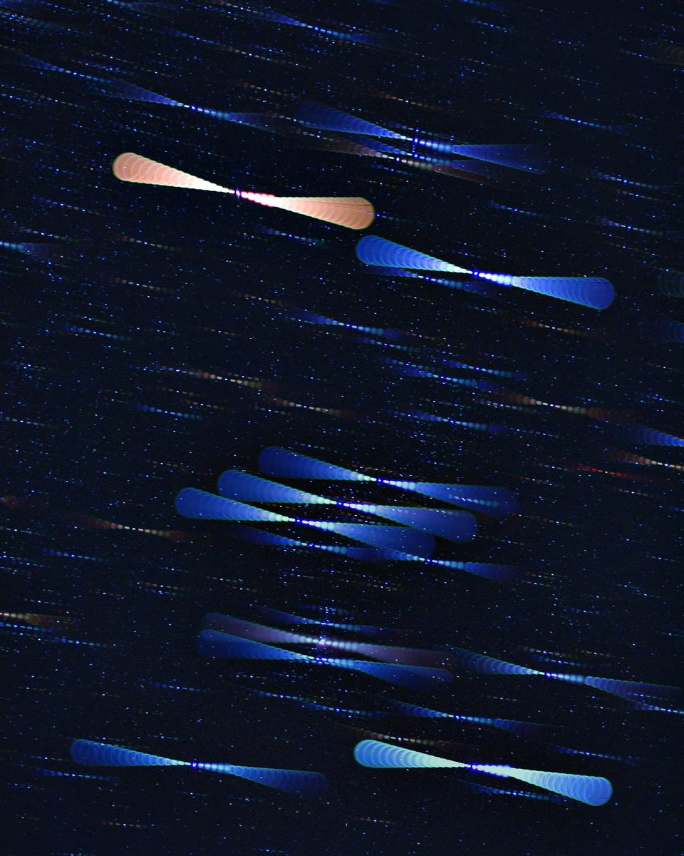 Star Colors in Orion