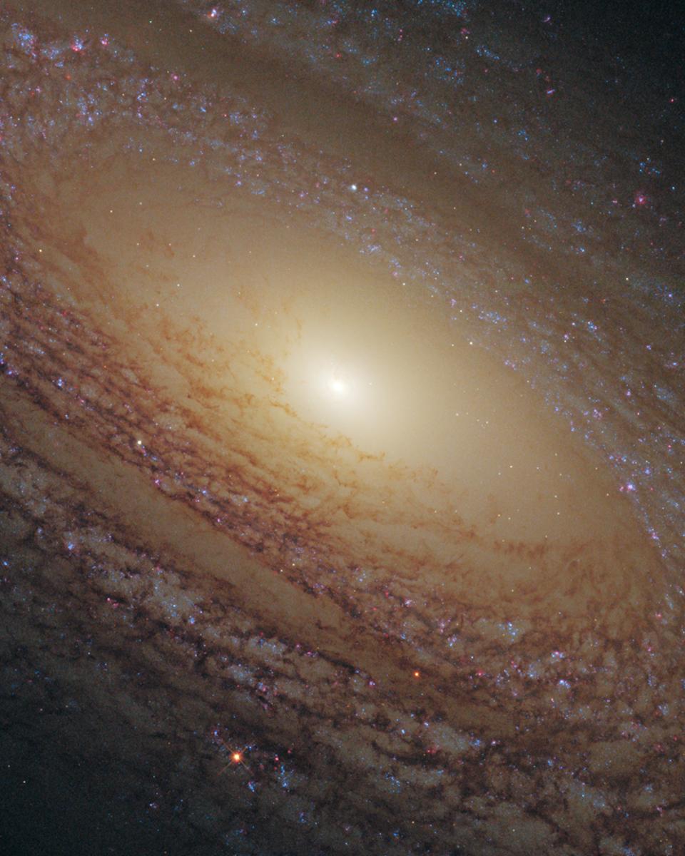 Spiral Galaxy NGC 2841 Close Up