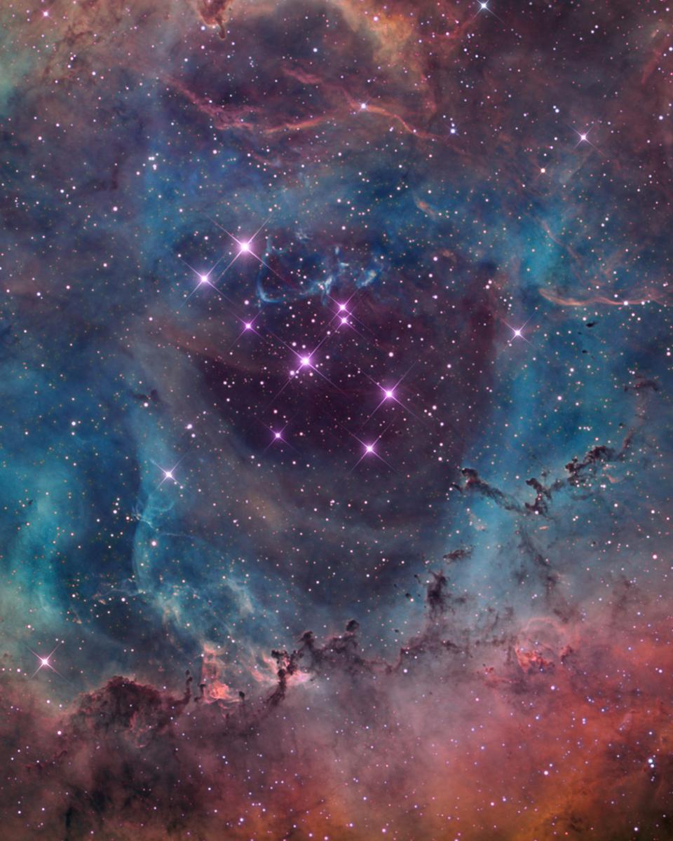 The Rosette Nebula
