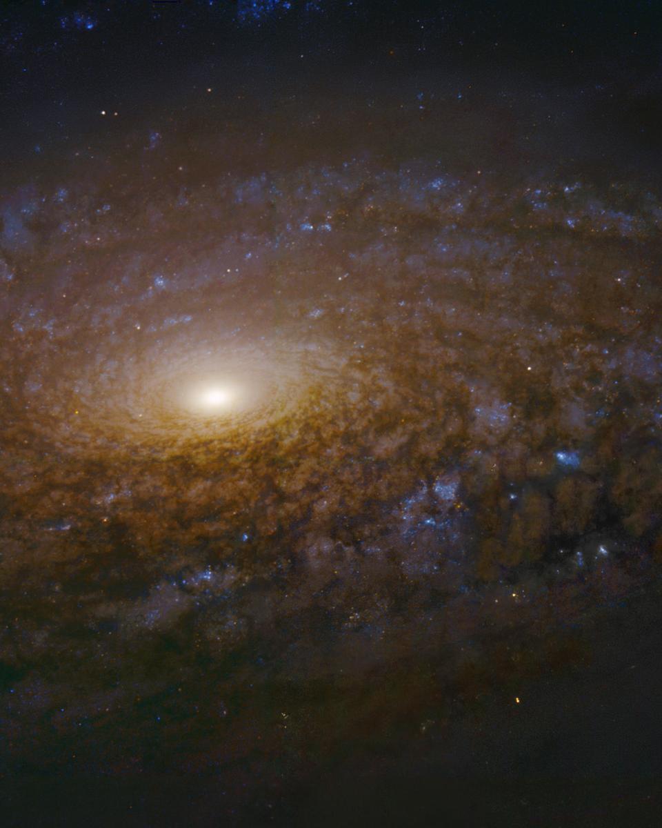 NGC 3521 Close Up