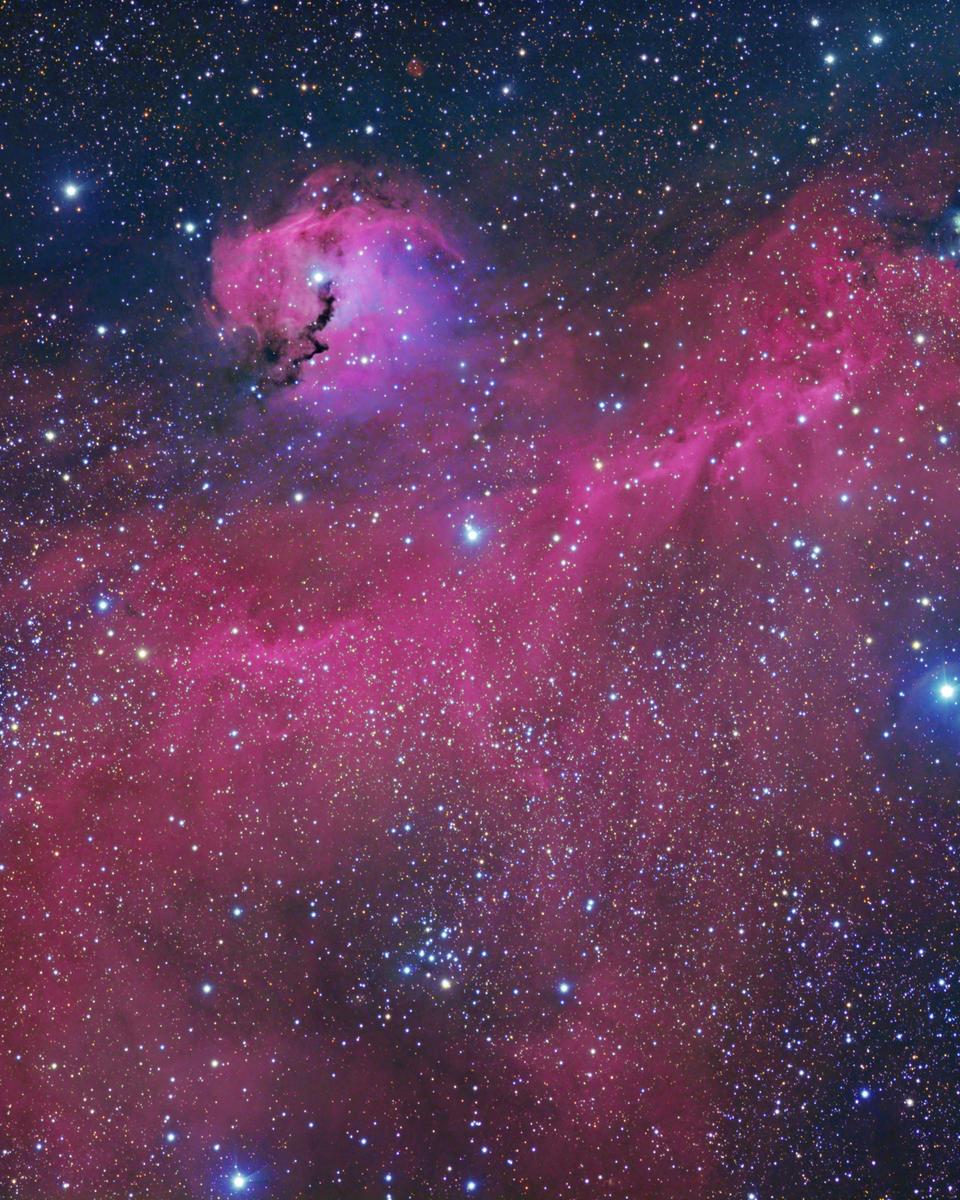 The Seagull Nebula