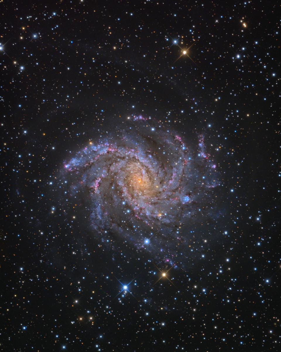 Fireworks Galaxy NGC 6946
