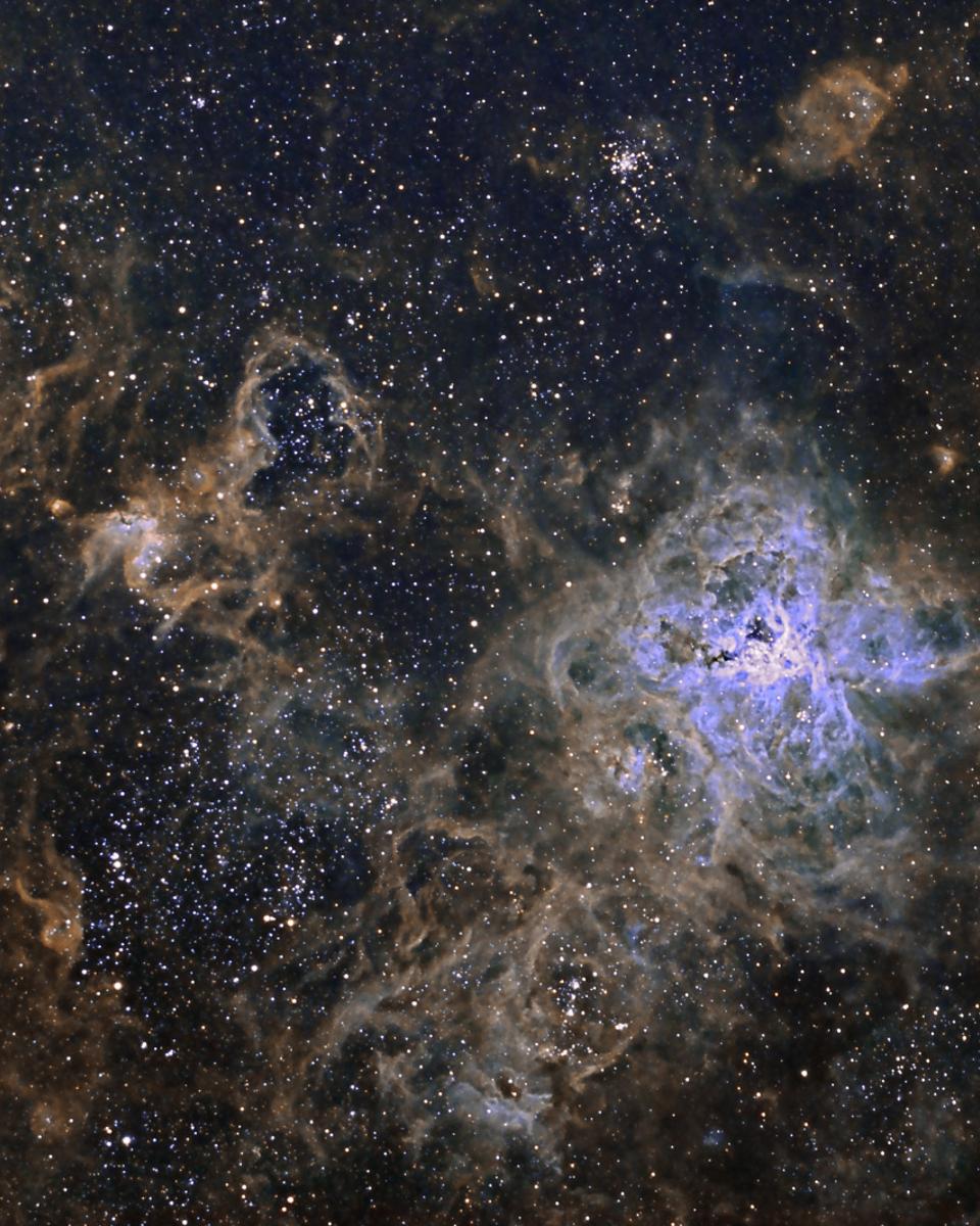 The Cosmic Web of the Tarantula Nebula