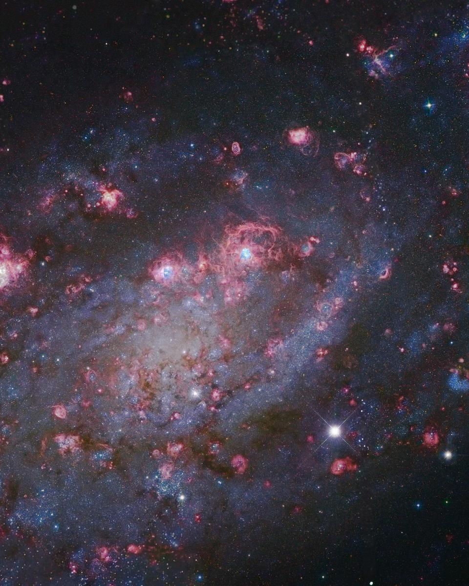 NGC 2403 in Camelopardalis
