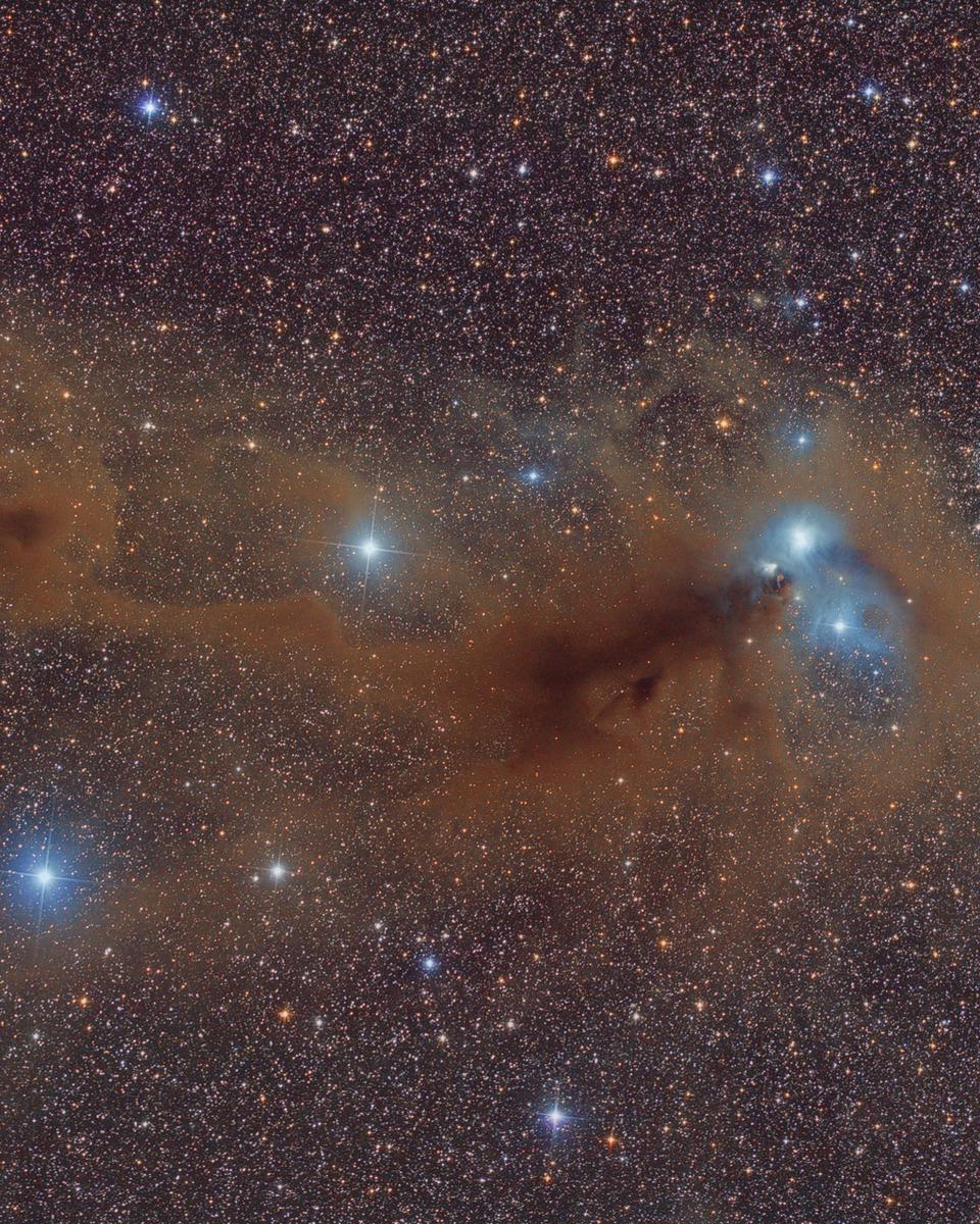 Stars and Dust Across Corona Australis