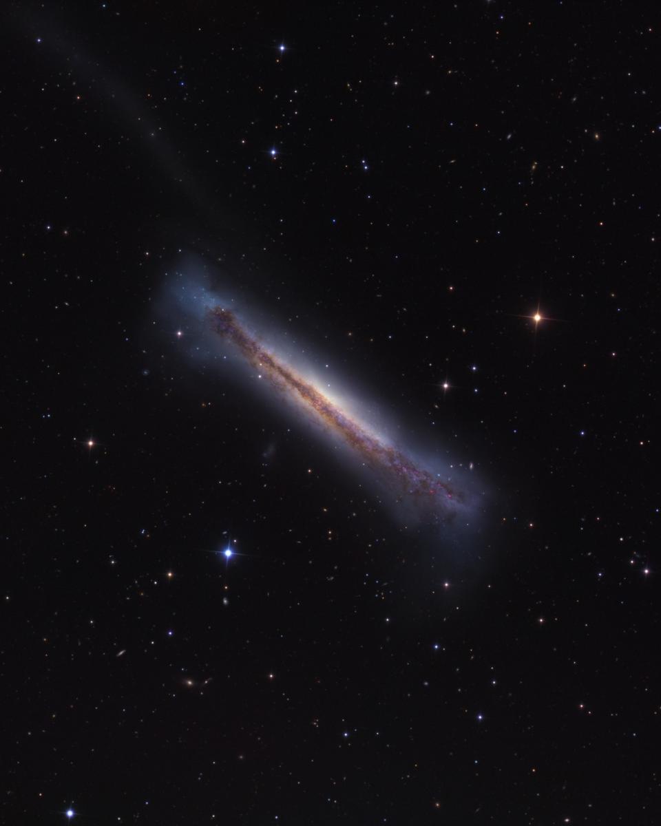 Sideways Galaxy NGC 3628